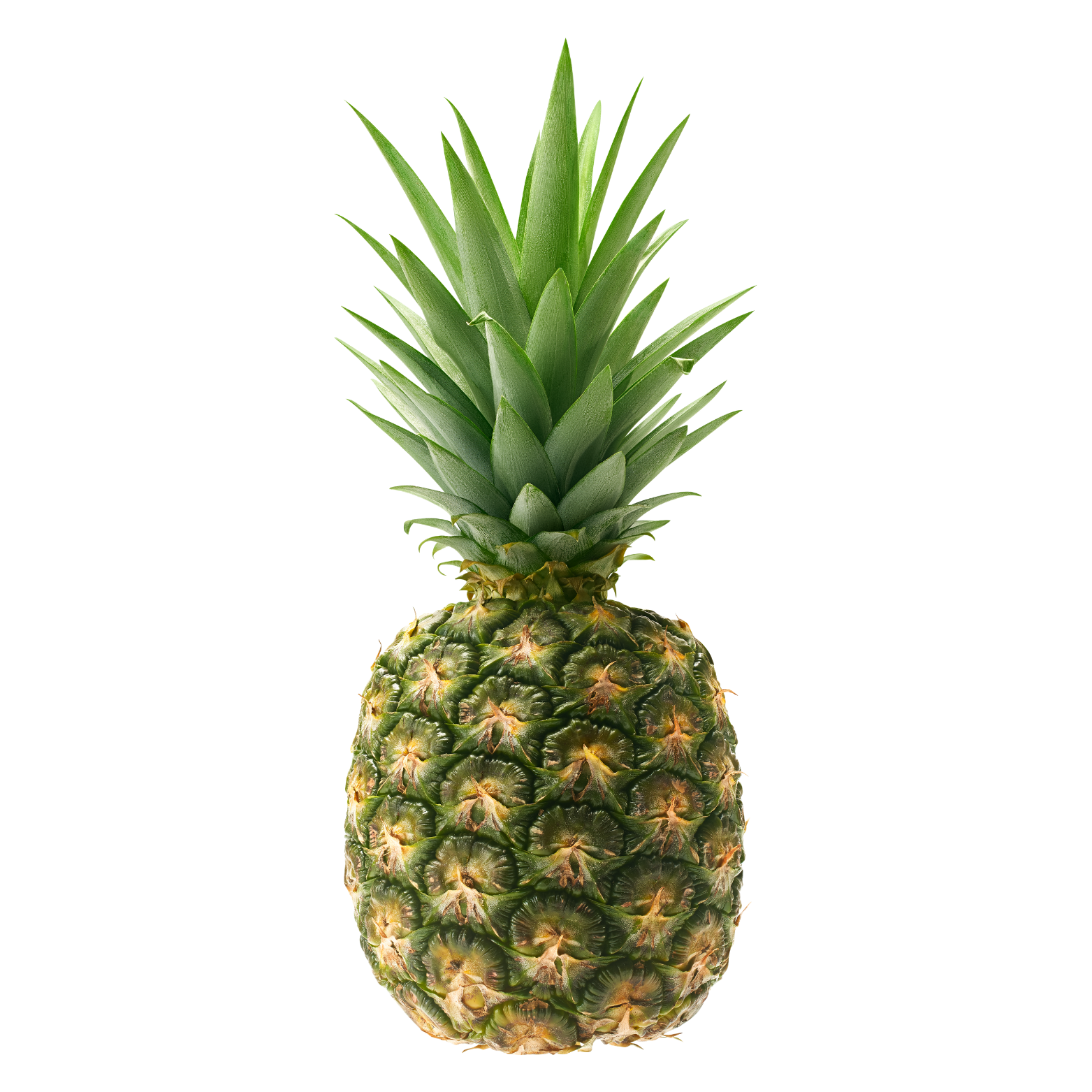 Kurutulmuş Ananas