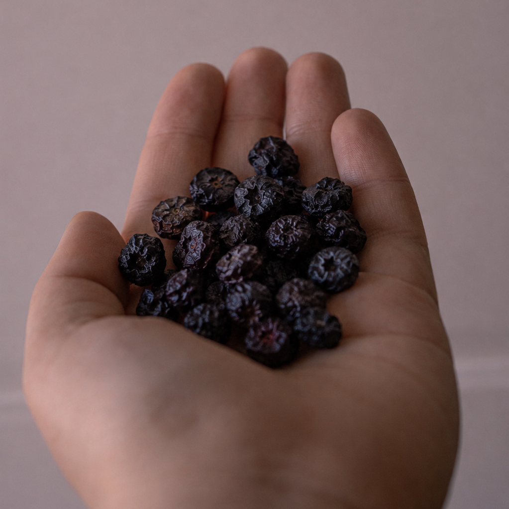 Yumuşak Kurutulmuş Yaban Mersini 50g